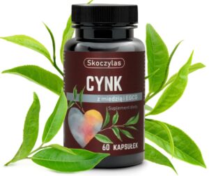 fac17aba7273ee7a3cfae3bfdb86b295