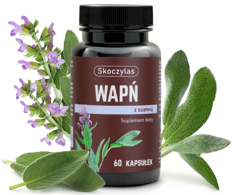 6154d801ab44348725b05148224b0de4