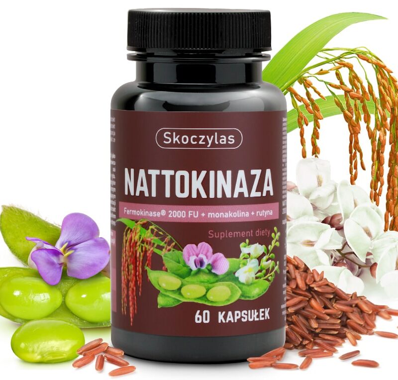 e2b03667a098b50f194d3dc4aed7e56a