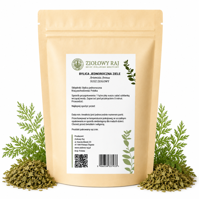 Bylica jednoroczna (artemisia annua) ziele 50g Ziołowy Raj