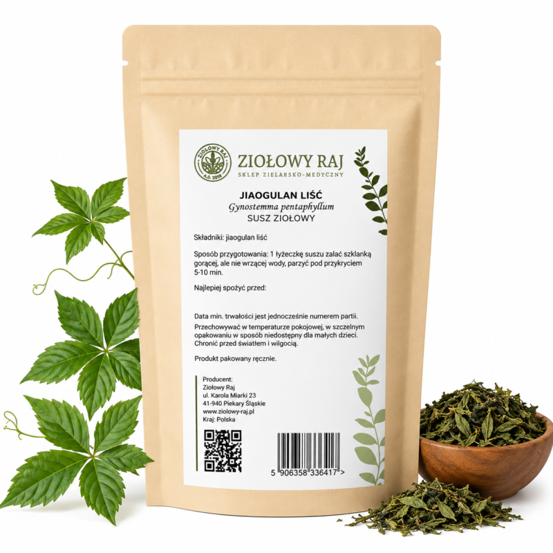 Jiaogulan liść prosta Jiaogulan (gynostemma) liść 50g Ziołowy Raj
